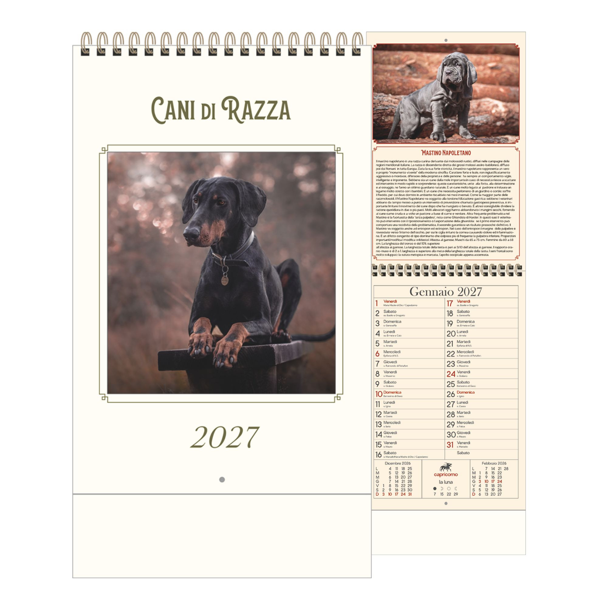 Calendario Illustrato
